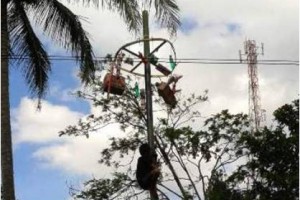 Panjat Pinang Meriahkan HUT RI Ke-69